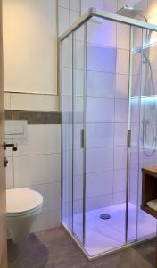 a glass shower in a bathroom with a toilet at Pension Vocario in Pfarrwerfen