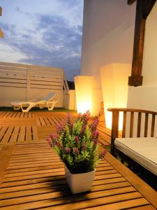 a balcony with a potted plant on a wooden deck at Romántico estudio centro de Algeciras in Algeciras
