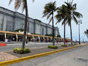 una calle con palmeras frente a un edificio en Ubicadisima! Zona hotelera centro histórico! en Veracruz