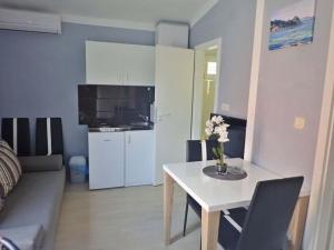 Kuchyňa alebo kuchynka v ubytovaní Apartmani Lana, 40 metara do mora, Seline (4+1)