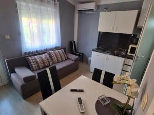 Kuchyňa alebo kuchynka v ubytovaní Apartmani Lana, 40 metara do mora, Seline (4+1)