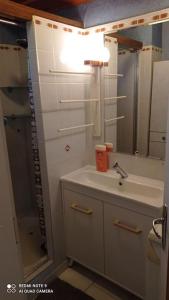 a bathroom with a sink and a mirror at Maison de ferme au calme jusqu'à 10 personnes in Gannay-sur-Loire