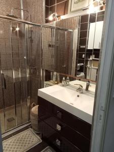 uma casa de banho com um lavatório e um chuveiro em Studio de l'hippodrome em Cagnes-sur-Mer