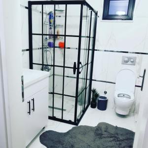 a bathroom with a toilet and a glass shower door at BÖ villa in Macka
