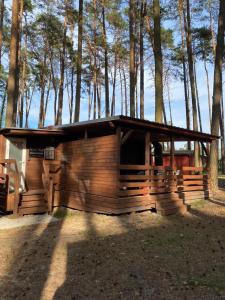 eine Hütte im Wald mit Bäumen im Hintergrund in der Unterkunft Domek Wakacyjny Monika 30 in Głębokie