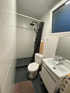 ein Bad mit einem WC, einem Waschbecken und einer Dusche in der Unterkunft Domek Wakacyjny Monika 30 in Głębokie
