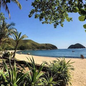 a beach with palm trees and the ocean on a sunny day at Recanto da Nina in Maresias