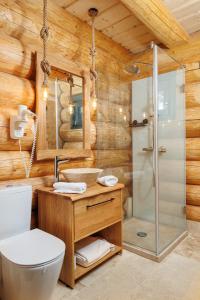 a bathroom with a shower and a toilet and a sink at Chalet Rozmarin Predeal in Predeal