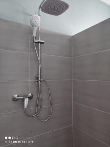 a shower with a shower head in a bathroom at Ferienwohnung Henny in Wismar