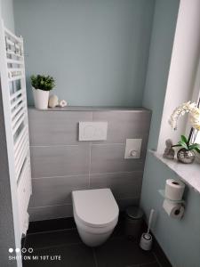 a bathroom with a white toilet in a room at Ferienwohnung Henny in Wismar