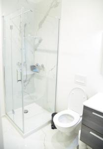 ein Bad mit einer Dusche und einem WC in der Unterkunft Appartment Montorgueil/Châtelet in Paris