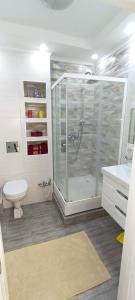 La salle de bains est pourvue d'une douche, de toilettes et d'un lavabo. dans l'établissement 1 комнатная квартира 53, à Almaty