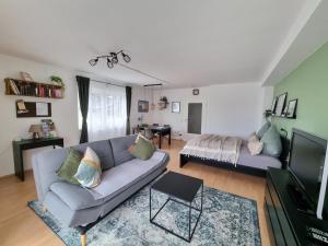 a living room with a couch and a tv at Ferienwohnung Appartement Bad Bergzabern mit Schwimmbad und Sauna in Bad Bergzabern