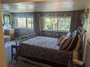 een slaapkamer met een bed en 2 ramen bij The Parks Inn in Three Rivers