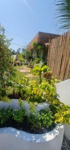 Fotografie z fotogalerie ubytování GO GLAMPING MAEPIM CAPE v destinaci Ban Nam Lai Ta Tum