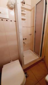 y baño pequeño con aseo y ducha. en Departamento - Monoambiente - Zona Casino - SE RESERVA CON SEÑA en Mar del Plata