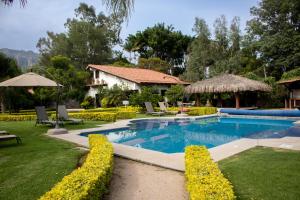 una piscina en un patio con sillas y sombrillas en Posada La Presa en Tepoztlán