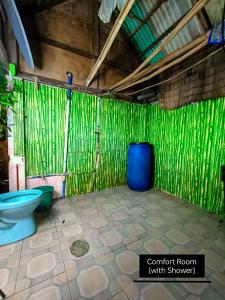 a bathroom with a toilet and a green wall at Phielle In-Home Calayo House Rental in Nasugbu