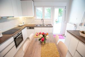 A kitchen or kitchenette at Downtown luxury apartment with backyard