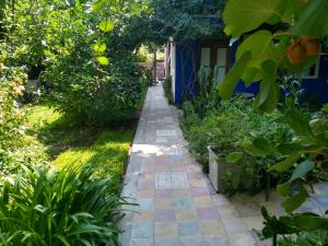 un camino de jardín frente a una casa azul en Lovely studio with stunning terrace, en Tigre