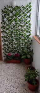 Zdjęcie z galerii obiektu Sunshiny Costa del Sol - BEACH APARTMENT w mieście Fuengirola