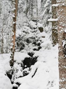 a snow covered path in a forest with trees at Les fermes du Lac Gerardmer in Gérardmer