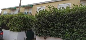 a group of green bushes in front of a building at Casa vacanze Donna Michela in Ponzano Veneto +7 photos