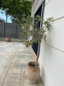 Imagen de la galería de Villa Oleander Agios Nikolaos Loutra Edipsou, en Loutra Edipsou