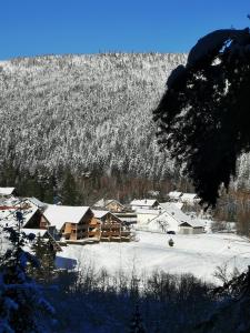 a lodge in the snow with a snow covered mountain at Les fermes du Lac Gerardmer in Gérardmer