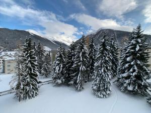 Gemütliches Alpenstudio mitten in Davos perfekt angebunden, extrem ruhig und ideal als Rückzugsort für Entspannung, sportliche Aktivitäten oder ein entspanntes Wochenende talvel
