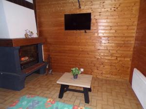 een woonkamer met een open haard en een televisie bij Chalet idéal 4-8 pers avec garage 20 mn Gérardmer in Vienville