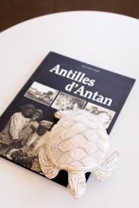 Fotografie z fotogalerie ubytování Eden Roc Appartements v destinaci Le Diamant