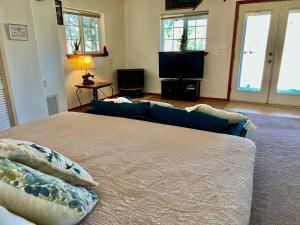 Salt Creek Cabin In The Gila في Mimbres: غرفة معيشة مع سرير وتلفزيون بشاشة مسطحة