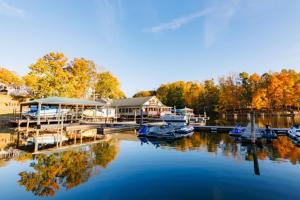 a group of boats docked at a marina at Halesford Harbour Resort - Smith Mountain Lake in Moneta