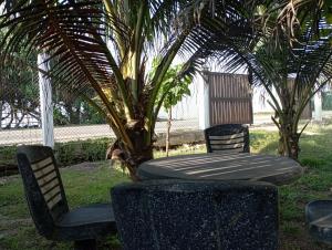 Ein Garten an der Unterkunft Surf Forever