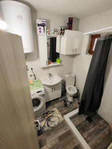 a small bathroom with a toilet and a sink at Konak Mara- Komovi in Andrijevica