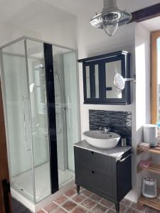 a bathroom with a glass shower and a sink at Gîte le Ch'armançon in Montigny-sur-Armançon