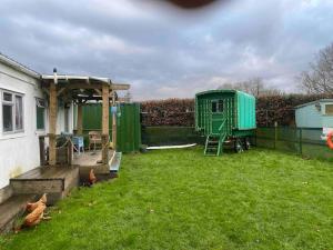 a backyard with a green shed and chickens in the grass at Rockets's Retreat in Bursledon