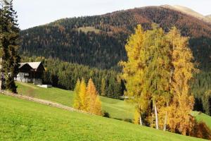 a house on a hill with trees in a field at Apartment Lea in Maranza