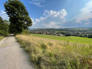 a tree on the side of a dirt road at Aminas Ferienwohnung Bad Gandersheim in Bad Gandersheim