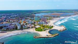 an aerial view of a beach and the ocean at LUCA Apartments in Saturn