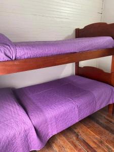 two bunk beds in a room with purple sheets at Hostal el Idilio in Cartagena