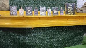 a wooden shelf with books on it on a green wall at Hostal el Idilio in Cartagena +53 photos