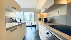 a kitchen with a sink and a counter top at Voiron centre, grande terrasse, parking, calme in Voiron