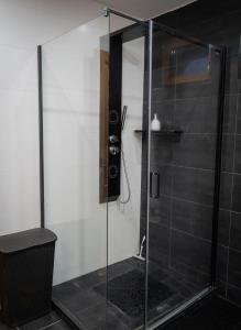 a shower with a glass door in a bathroom at Kispince Wellness Borbirtok in Böhönye