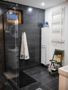 um chuveiro com uma porta de vidro na casa de banho em Kispince Wellness Borbirtok em Böhönye