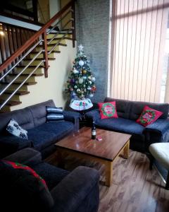 a living room with a christmas tree and blue couches at Karbula Apartments & Villa in Mavrovo