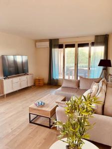 科戈蘭的住宿－Le Marine 4，带沙发和电视的客厅