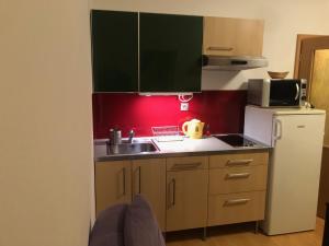 a small kitchen with a sink and a microwave at Apartmán Ramzová Kometa in Ostružná