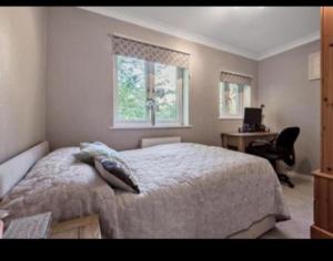 a bedroom with a bed and a desk and two windows at Rainbow Quays in London